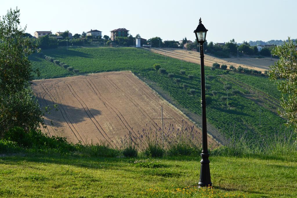 Agriturismo Tenuta Belvedere Villa Belvedere Ostrense Exterior photo